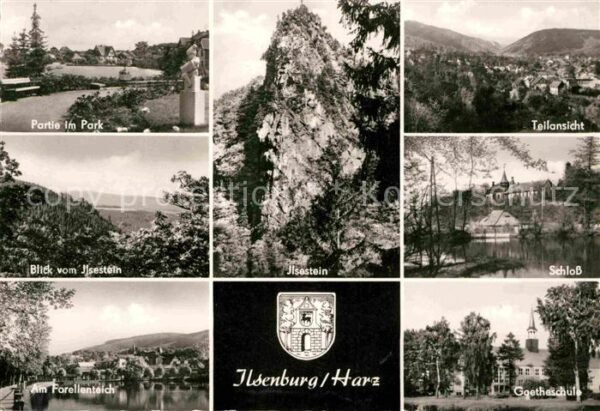 Ilsenburg Harz Schloß Goetheschule Blick vom Ilsestein