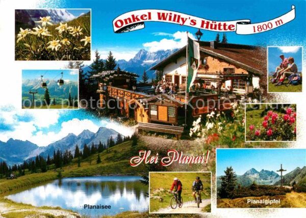 Schladming Obersteiermark Onkel Willys Hütte Alpenflora Planaisee