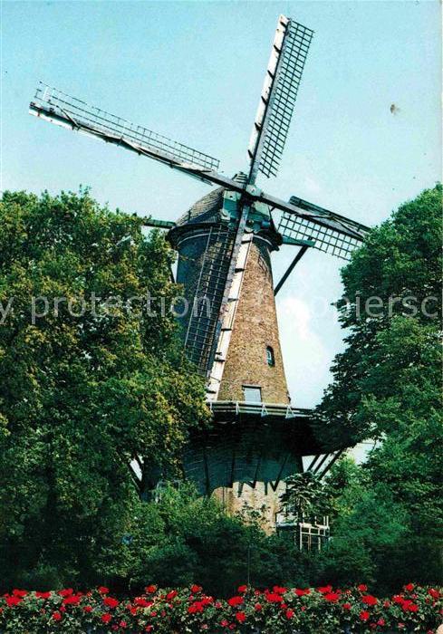 Alkmaar Molen van Piet Windmühle