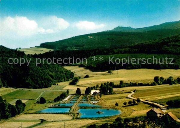 Hilgershausen Witzenhausen Forellenzucht im Riedbachtal Freizeitze