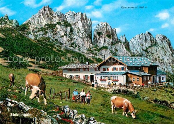 Kampenwand Chiemgau Steinlingalm Kühe