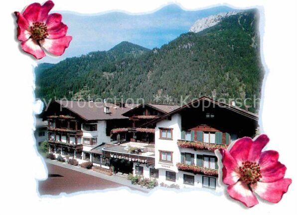 Waidring Tirol Hotel Waidringerhof