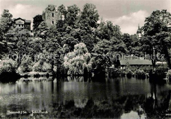 Tharandt Schlossteich