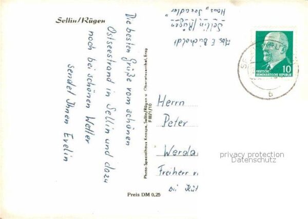 Sellin Ruegen Seeadler – Bild 2