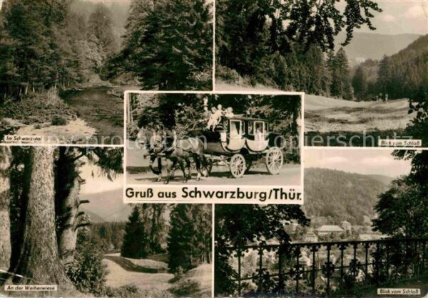 Schwarzburg Thueringer Wald Schwarztal Weiherwiese Blick vom Schlos
