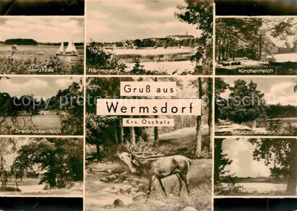 Wermsdorf Horstsee Wermsdorf Kirchenteich Dreibrü