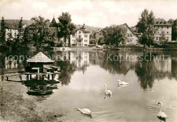 Bad Salzungen Am Burgsee