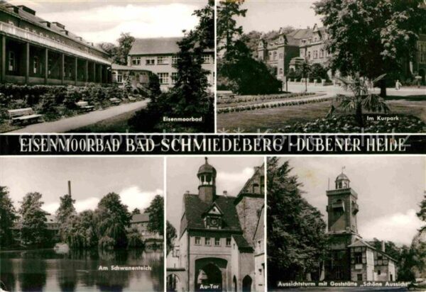 Bad Schmiedeberg Eisenmoorbad Schwanenteich Au Tor Kurpa