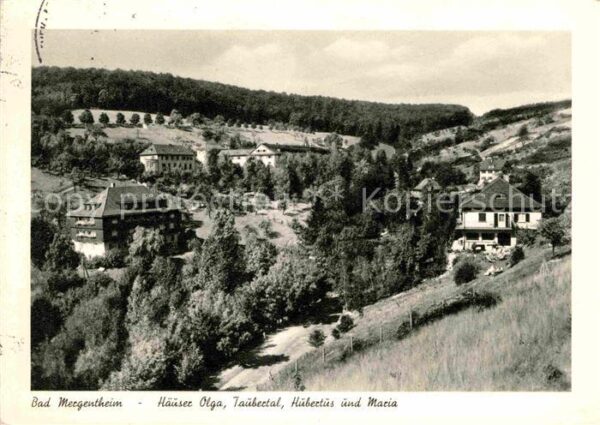 Bad Mergentheim Häuser Olga Taubertal Hubertus und Mari