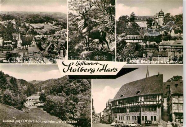 Stolberg Harz Panorama Blick von der Lutherbuche Hirs