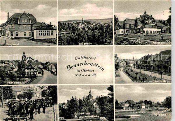 Benneckenstein Harz Berghotel Harzhaus Oberstadt Teichdamm