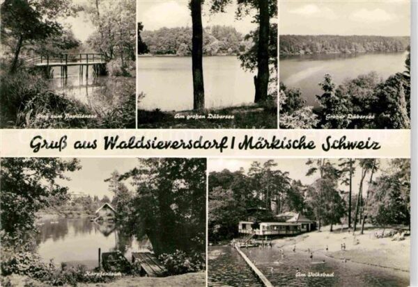 Waldsieversdorf Steg Papillensee Grosser Däbersee Karpf