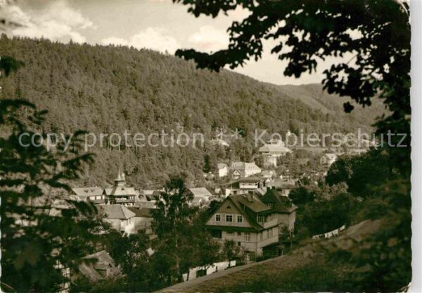 Schwarzburg Thueringer Wald Teilansicht vom Schlossaufgang