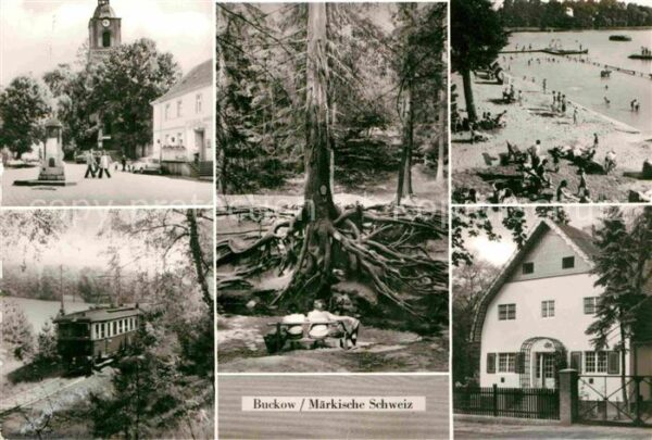 Buckow Maerkische Schweiz Markt Wurzelfichte Strandbad Schermütze
