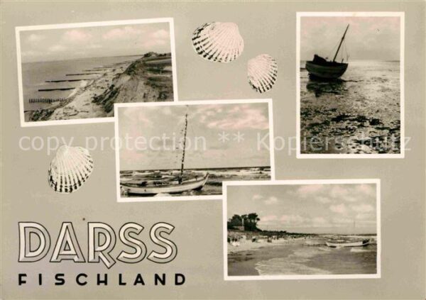 Darss Region Ostsee Fischland Strand Küste Fischerboot Musc