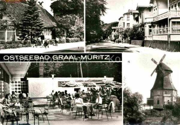 Graal-Mueritz Ostseebad Gärtner Produktionsgenossenschaft Rosa