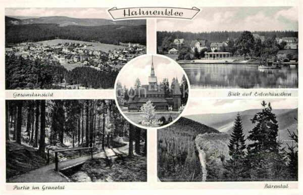 Hahnenklee-Bockswiese Harz Fliegeraufnahme Granetal Bärental Enten