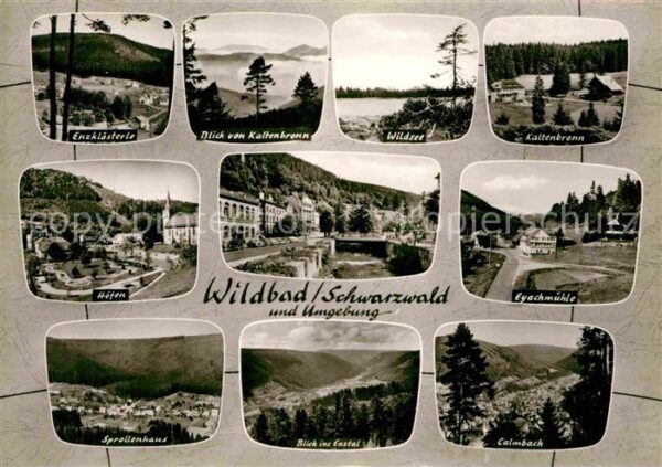 Wildbad Schwarzwald Enzklösterle Wildsee Kaltenbronn Höfen