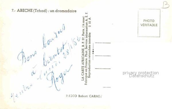 Kamel  Camel Chameau Dromedaire Abeche Tchad – Bild 2