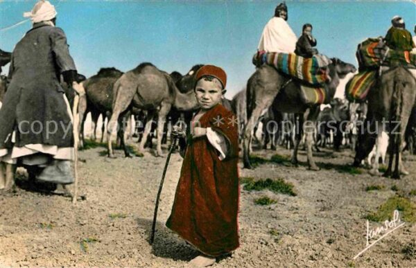 Typen Arabien Kind Les Chameliers