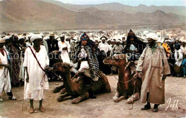 Kamel  Camel Chameau Jour de Moussem