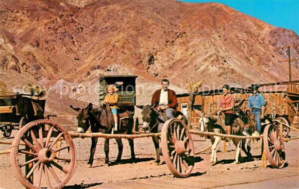 Esel Tiere Calico Burro Ride Ghost Town California