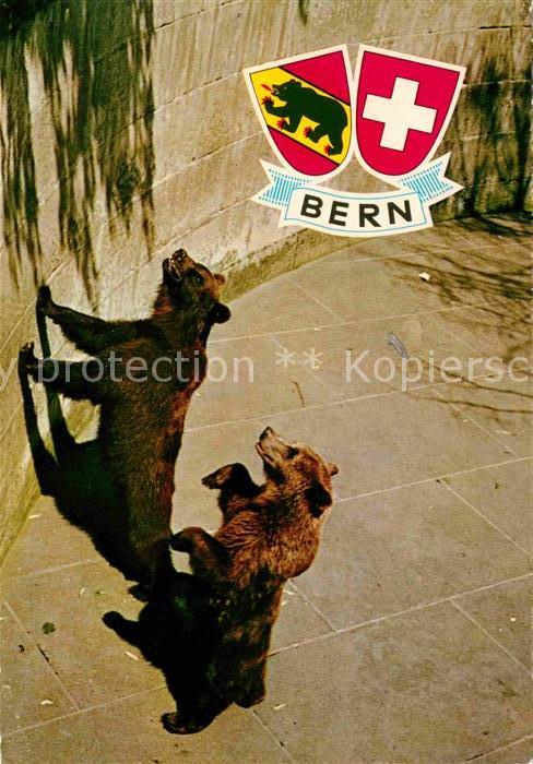 Baeren Bern Bärengraben