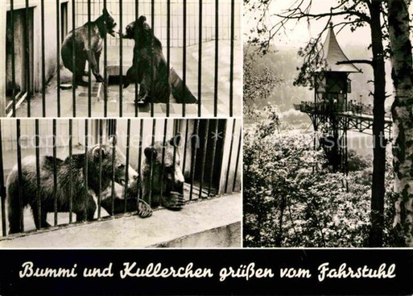 Baeren Bummi und Kullerchen Bad Schandau Fahrs