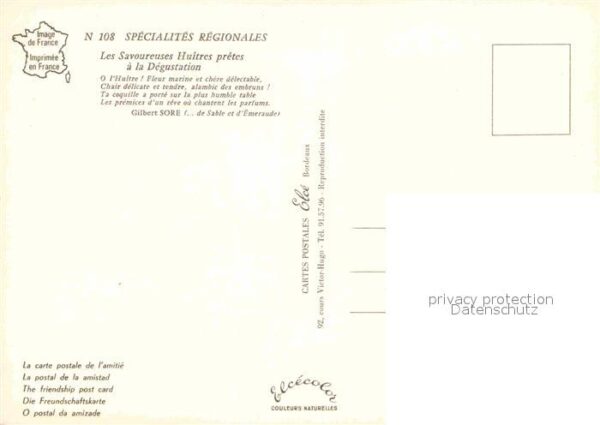 Lebensmittel Fruits de Mer Huitres – Bild 2