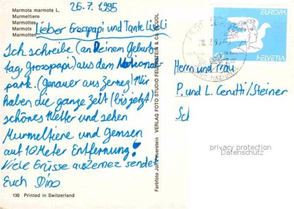 Murmeltier Marmottes Marmots – Bild 2