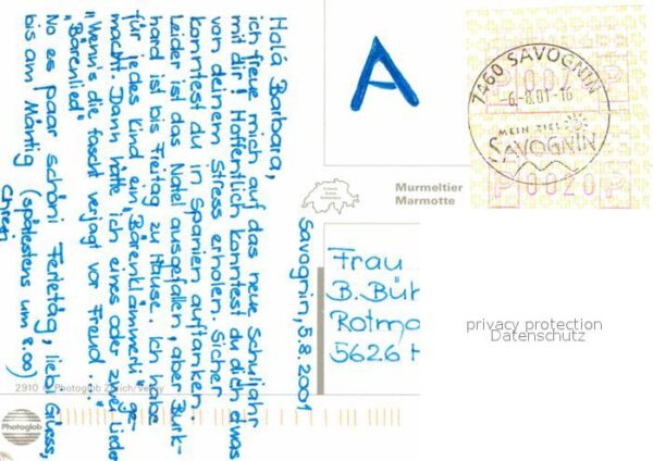 Murmeltier – Bild 2