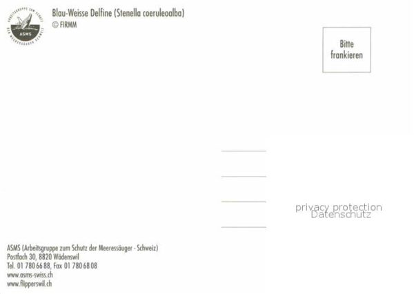 Delfine Delphine Dolphins Dauphins Delfi Blau-Weisse Delfine – Bild 2