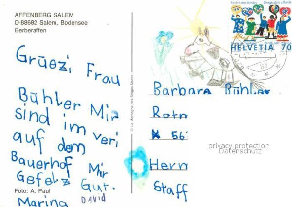 Affen Berberaffen Affenberg Salem Bodensee – Bild 2