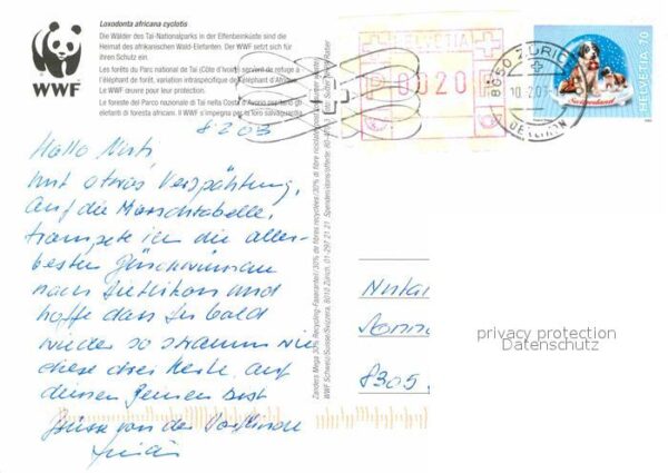 Elefant Wald-Elefanten WWF Tai-Nationalpark Elf – Bild 2
