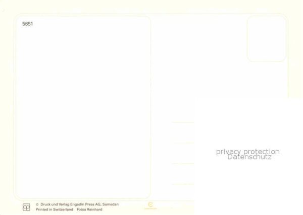 Pferde – Bild 2