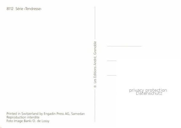 Katzen – Bild 2