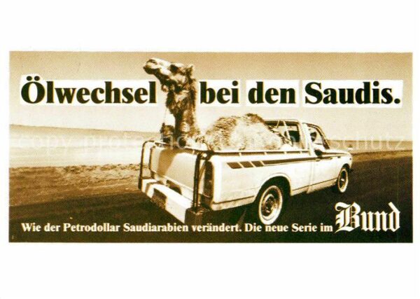 Kamel  Camel Chameau Ölwechsel Saudiarabien Petrodollar Kamp