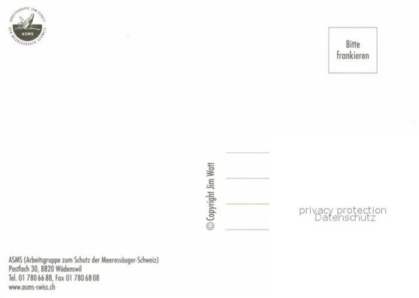 Wal Blauwal – Bild 2