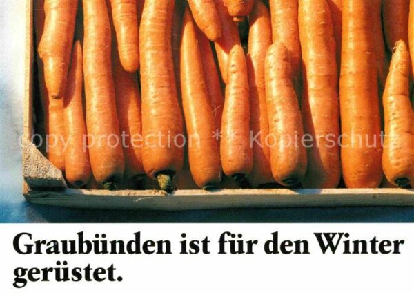 Lebensmittel Karotten Graubünden