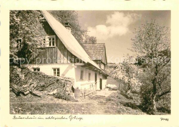Foto Popp Nr. Bauernhaus Schlesien Gebirge