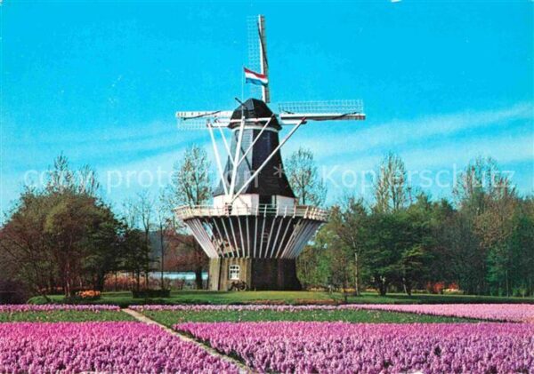 Windmuehle Holland