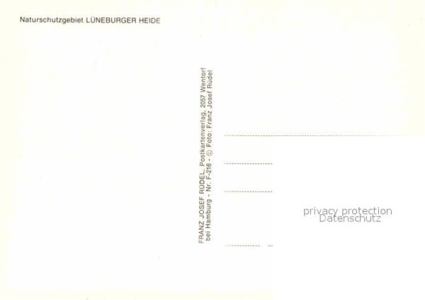 Schafe Hirte Lüneburger Heide Schafstall – Bild 2