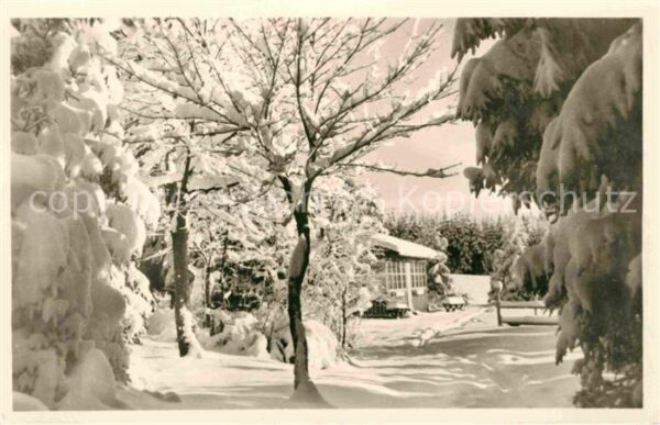 Frauenwald Thueringen Im Lenkgrund Winterpanorama Luftkurort
