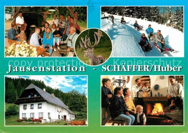 Sankt Lorenzen Muerztal Jausenstation Kaminzimmer Schlittenfahr