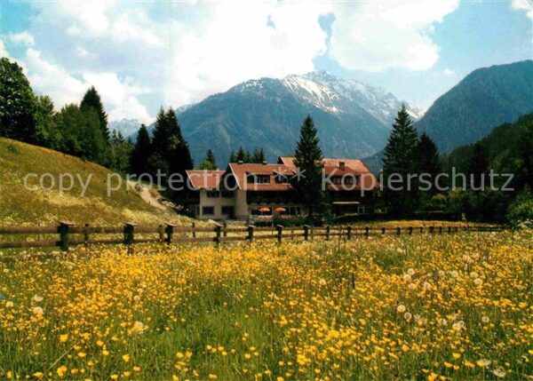 Wald Pinzgau Jagdschloss Graf Recke Sommerwiese Alpe