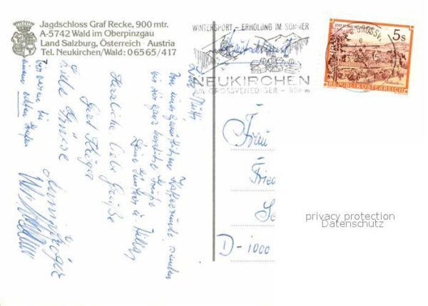 Wald Pinzgau Jagdschloss Graf Recke Sommerwiese Alpe – Bild 2