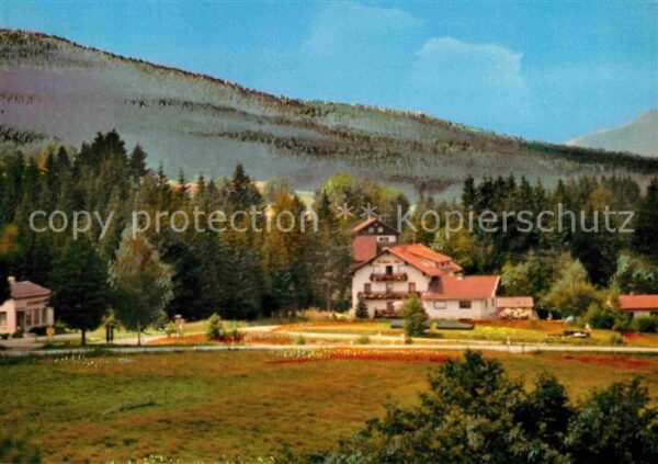 Lohberg Lam Gästehaus Karolina Kopp Bayerischer Wal