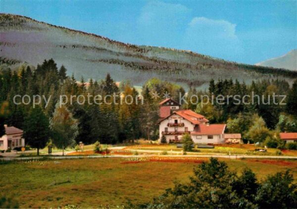 Lohberg Lam Gästehaus Karolina Kopp Bayerischer Wal