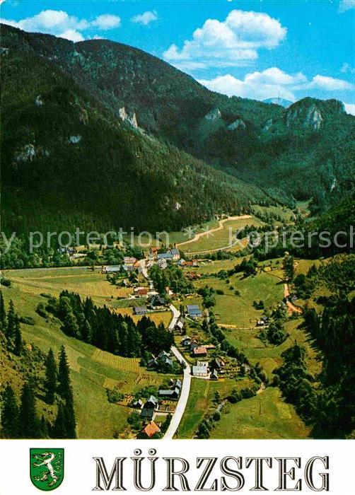 Muerzsteg Sommerfrische Alpenpanorama Fliegeraufn