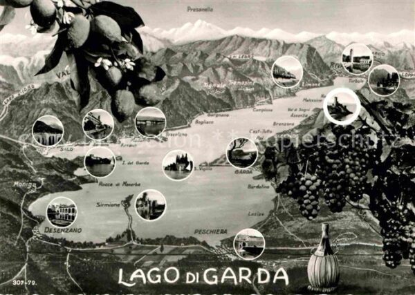 Malcesine Lago di Garda rund um den Gardasee Alpen Weintrauben